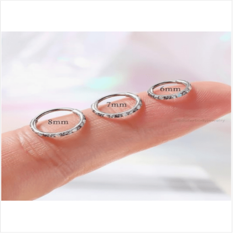 20G Nose Rings Hoops, 316L Surgical Steel Hinged Segment Nose Piercing Jewelry, Septum Lip Eyebrow Rings Cartilage Conch Rook Helix Tragus Daith Earrings For Women and Men - 6/7/8MM - QIAO Crystal我的商店QIAO Crystal